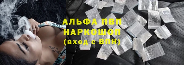 ПСИЛОЦИБИНОВЫЕ ГРИБЫ Михайлов