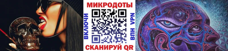 хочу   Кораблино  Галлюциногенные грибы Psilocybine cubensis 